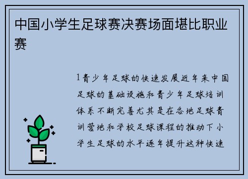中国小学生足球赛决赛场面堪比职业赛